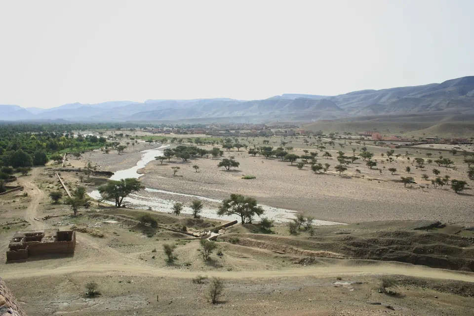 وادي درعة والنخل قريب لزاكورة